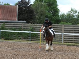 img_4450_web